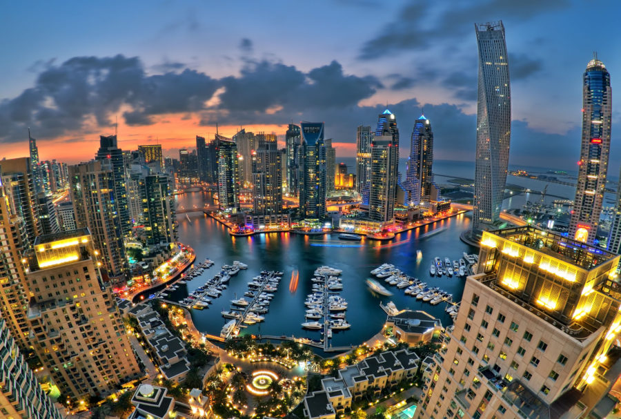 ما هي أفضل تجارة مربحة في الإمارات؟
