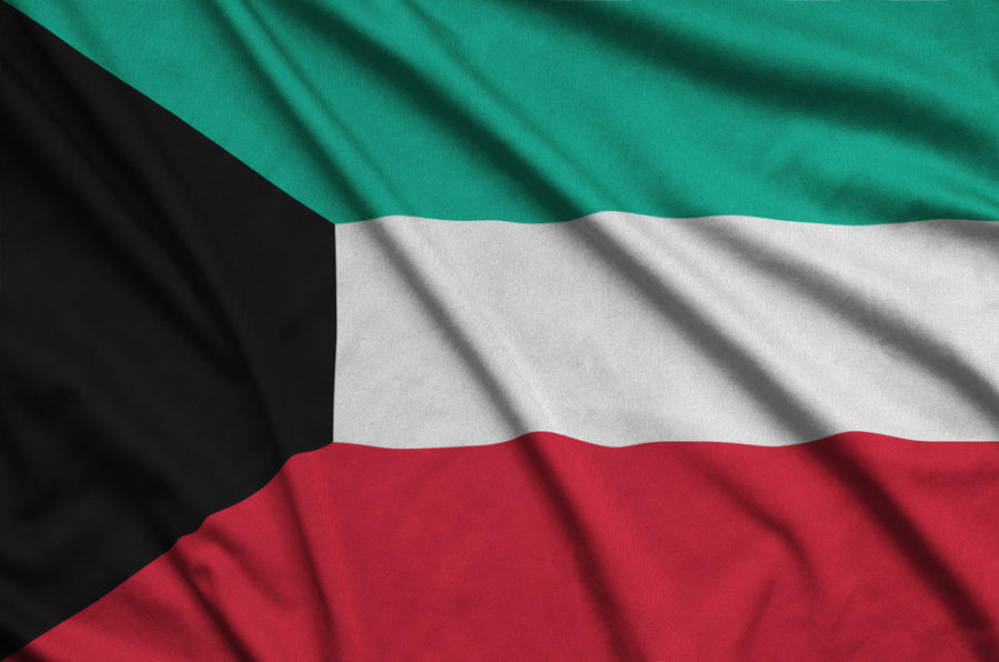 تأسيس شركة في دبي إجراءات تجديد جواز السفر الإماراتي إلكترونيا